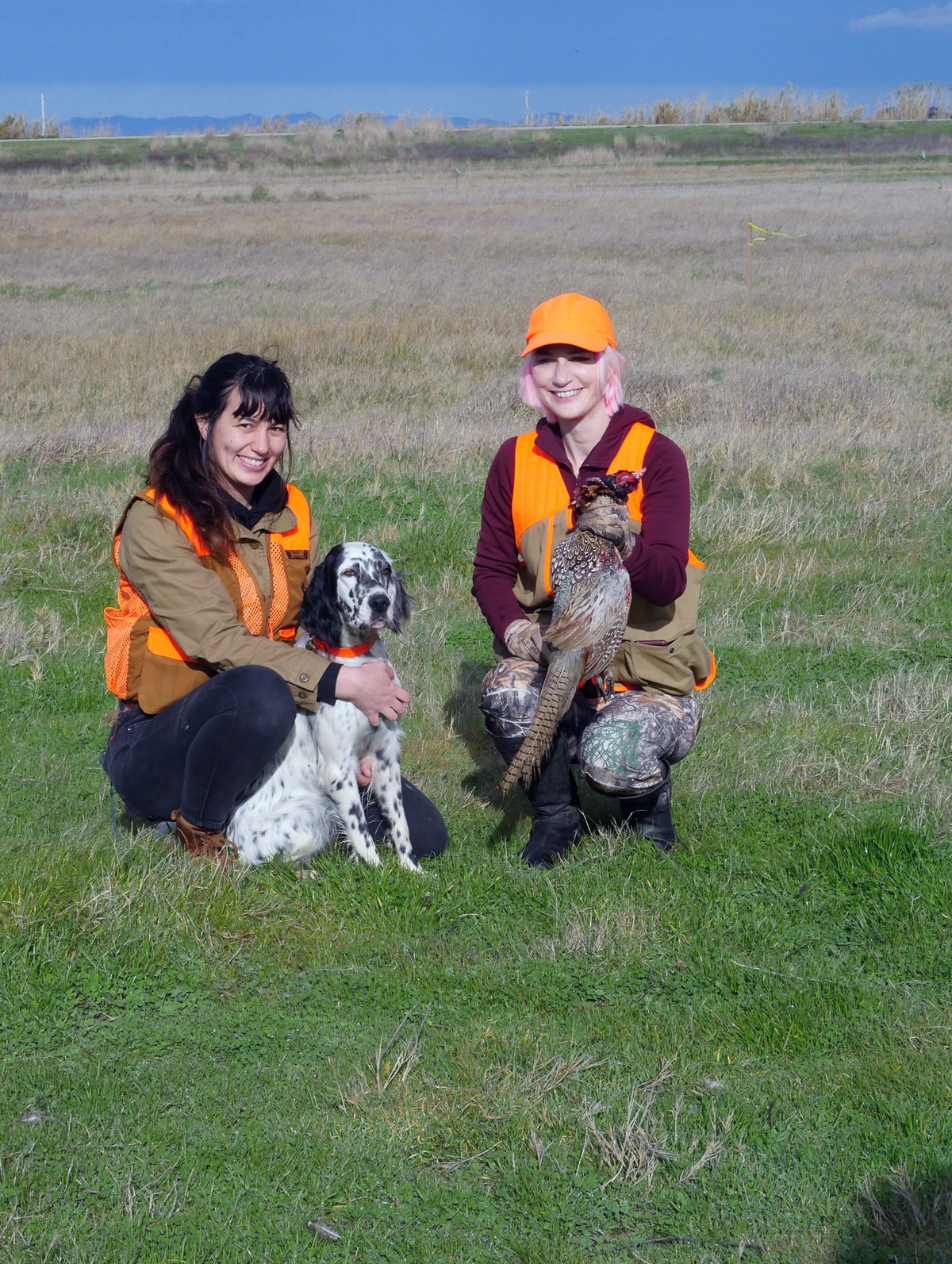 Two women hunters in blaze orange kneeling in a green field with an English Setter and a harvested pheasant