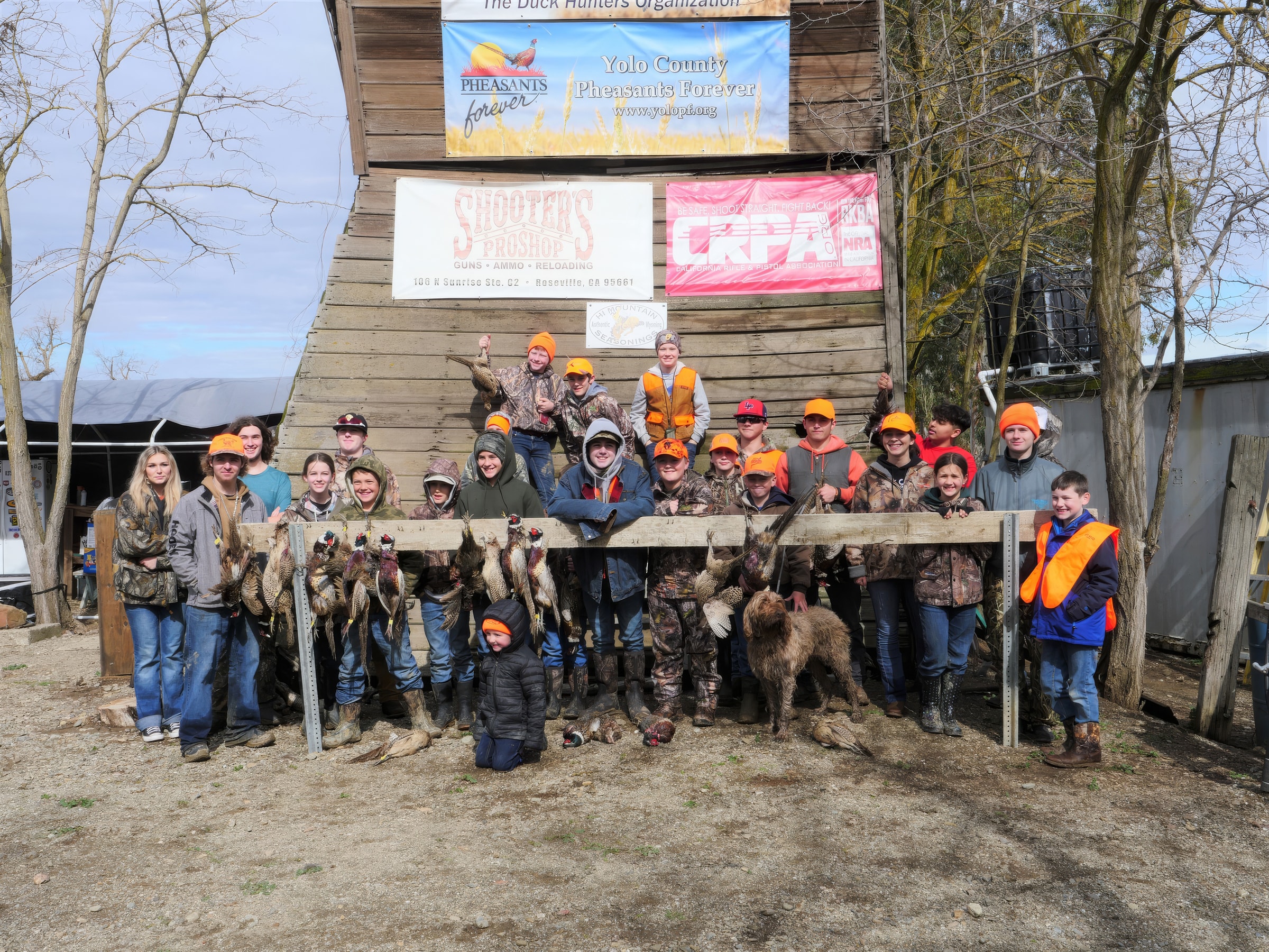 Large group of youth hunters and mentors posing in front of a barn with Pheasants Forever Yolo County, Shooter's Pro Shop, and CRPA sponsor banners, displaying their pheasant harvest with a Wirehaired Pointing Griffon at the 2023 Youth Mentor Hunt
