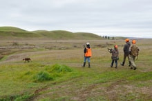Three hunters in blaze orange walking through a green rolling-hills field with a hunting dog at the 2023 Youth Mentor Hunt