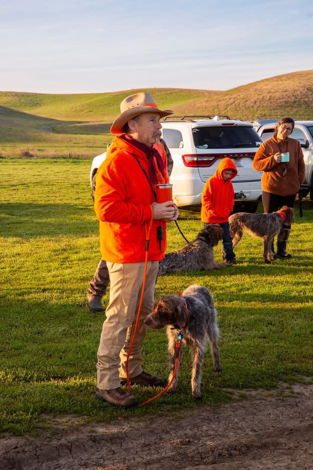 Hunter in orange jacket and cowboy hat holding two wirehaired pointing griffons on leash in a green field at sunrise