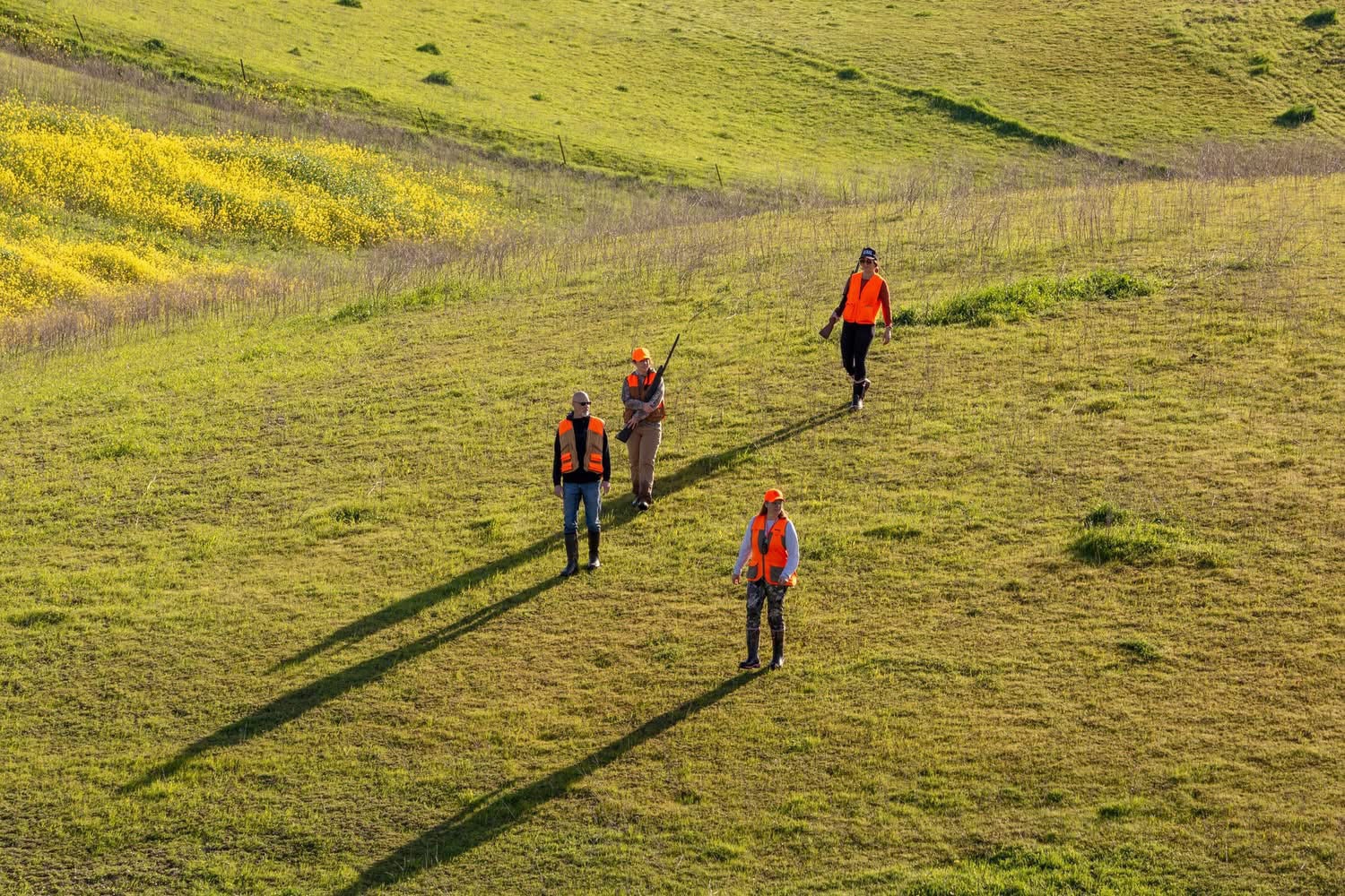 Four hunters in orange vests walking down a green hillside with yellow wildflowers in the background