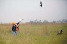 Hunter in blaze orange vest shooting at a flushing pheasant in a grassy field at the 2025 Youth Mentor Hunt