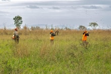 Three hunters in blaze orange vests spread across a wide grassy field at the 2025 Youth Mentor Hunt