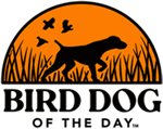 Bird Dog of the Day